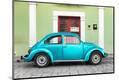 Photographic Print