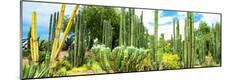 Premium Photographic Print