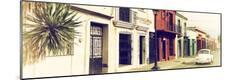 Premium Photographic Print
