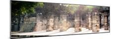 Premium Photographic Print