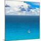 Premium Photographic Print