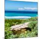 Premium Photographic Print