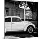 Photographic Print