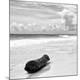 Premium Photographic Print