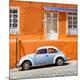 Photographic Print