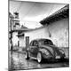 Photographic Print