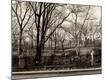 Photographic Print