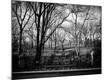 Photographic Print