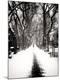 Photographic Print