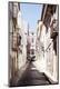 Premium Photographic Print
