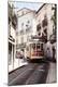 Photographic Print