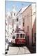 Photographic Print