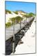 Premium Photographic Print