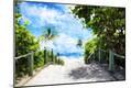 Premium Giclee Print
