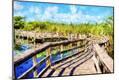 Premium Giclee Print