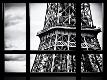 Premium Photographic Print