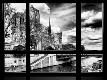 Premium Photographic Print