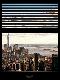 Premium Photographic Print