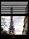Premium Photographic Print