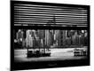 Premium Photographic Print