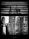 Premium Photographic Print