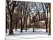 Photographic Print