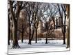 Photographic Print