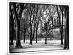 Photographic Print