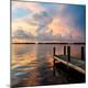 Premium Photographic Print