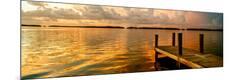 Premium Photographic Print