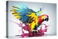 Stretched Canvas Print