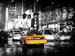 Premium Photographic Print