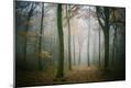 Photographic Print
