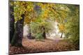 Photographic Print