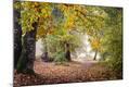 Photographic Print