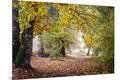 Photographic Print