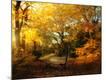 Premium Photographic Print