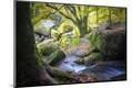 Photographic Print