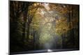 Photographic Print