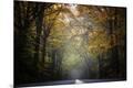 Photographic Print