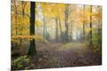 Photographic Print