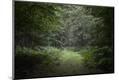 Premium Photographic Print