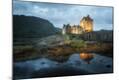 Photographic Print
