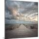 Premium Photographic Print