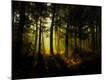 Photographic Print