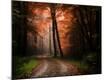 Photographic Print