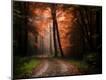 Photographic Print
