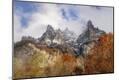 Photographic Print