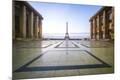 Premium Photographic Print