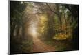 Photographic Print